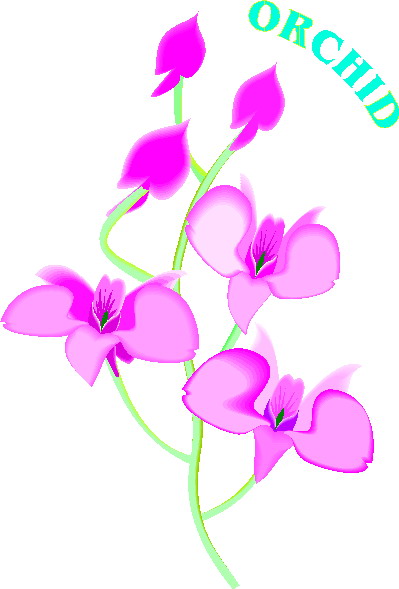 orchidea-ruchomy-obrazek-0004
