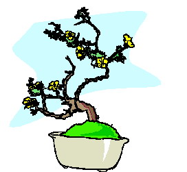 drzewko-bonsai-ruchomy-obrazek-0047