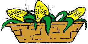 kukurydza-ruchomy-obrazek-0005
