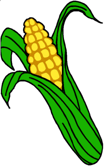 kukurydza-ruchomy-obrazek-0020