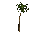 palma-ruchomy-obrazek-0015