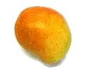 mango-ruchomy-obrazek-0022