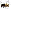 pszczolka-ruchomy-obrazek-0169
