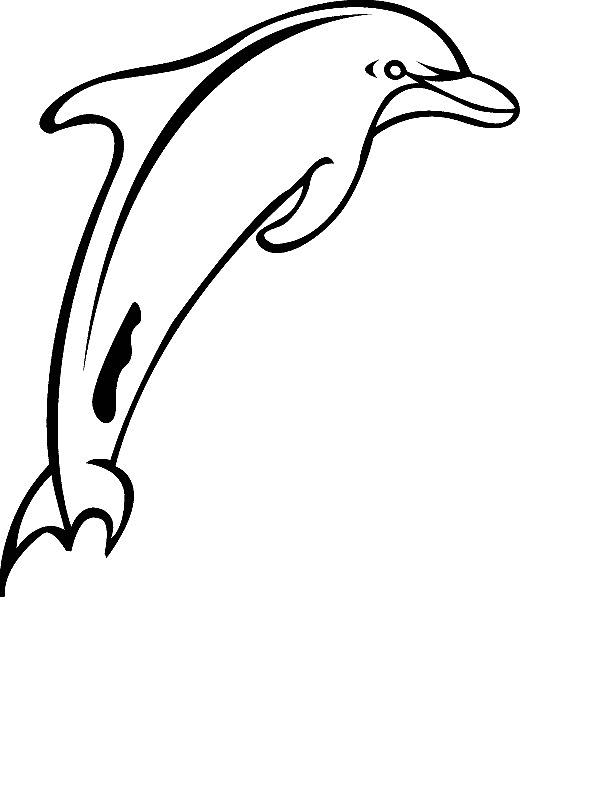 kolorowanka-delfin-ruchomy-obrazek-0008