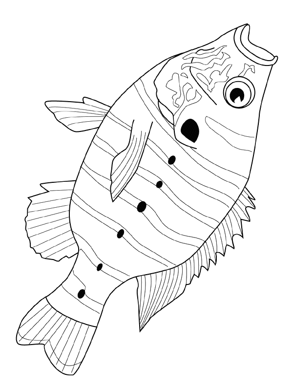 kolorowanka-ryba-ruchomy-obrazek-0030