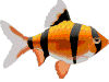ryba-ruchomy-obrazek-0049