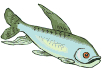 ryba-ruchomy-obrazek-0054