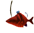 ryba-ruchomy-obrazek-0081