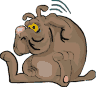 pies-ruchomy-obrazek-0315