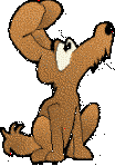 pies-ruchomy-obrazek-0671.gif
