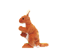 kangur-ruchomy-obrazek-0048