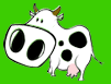 krowa-ruchomy-obrazek-0171