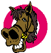 kon-ruchomy-obrazek-0003