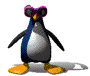 pingwin-ruchomy-obrazek-0037