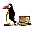 pingwin-ruchomy-obrazek-0048
