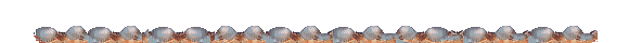 ptak-ruchomy-obrazek-0031