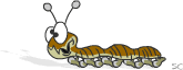 robak-i-robal-ruchomy-obrazek-0106.gif