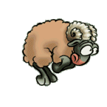 owca-ruchomy-obrazek-0002