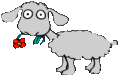 owca-ruchomy-obrazek-0037