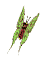 motyl-ruchomy-obrazek-0059 motyl-ruchomy-obrazek-0059