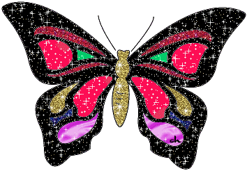 motyl-ruchomy-obrazek-0381