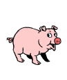swinia-ruchomy-obrazek-0019