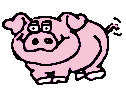 swinia-ruchomy-obrazek-0056