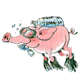 swinia-ruchomy-obrazek-0079