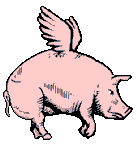 swinia-ruchomy-obrazek-0102