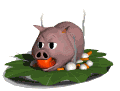 swinia-ruchomy-obrazek-0151