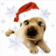 http://www.gify.net/data/media/461/awatar-zwierze-ruchomy-obrazek-0048.gif