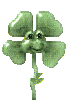 kwiat-ruchomy-obrazek-0006