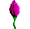 kwiat-ruchomy-obrazek-0217