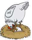 kurczak-ruchomy-obrazek-0125