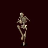 szkielet-ruchomy-obrazek-0001