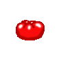 pomidor-ruchomy-obrazek-0017