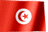 flaga-tunezji-ruchomy-obrazek-0001