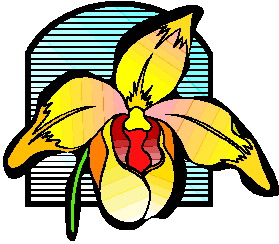 orchidea-ruchomy-obrazek-0010