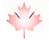 kanada-ruchomy-obrazek-0004