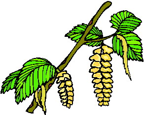 lisc-ruchomy-obrazek-0014