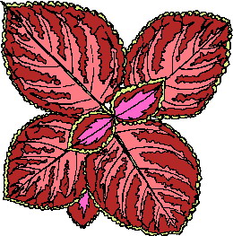 lisc-ruchomy-obrazek-0032