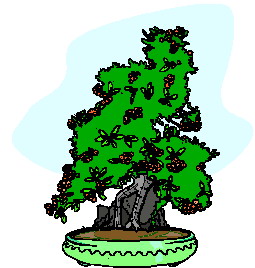 drzewko-bonsai-ruchomy-obrazek-0009