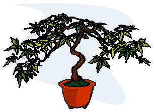 drzewko-bonsai-ruchomy-obrazek-0017