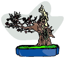 drzewko-bonsai-ruchomy-obrazek-0023