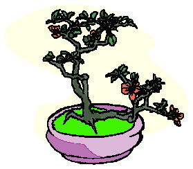 drzewko-bonsai-ruchomy-obrazek-0026