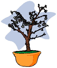 drzewko-bonsai-ruchomy-obrazek-0030