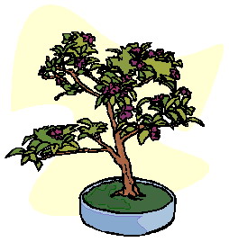drzewko-bonsai-ruchomy-obrazek-0032