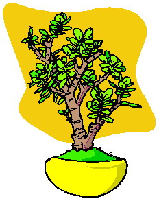 drzewko-bonsai-ruchomy-obrazek-0035