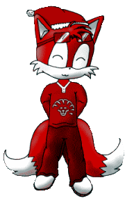 zwierze-na-boze-narodzenie-ruchomy-obrazek-0090