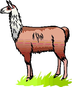 lama-ruchomy-obrazek-0002